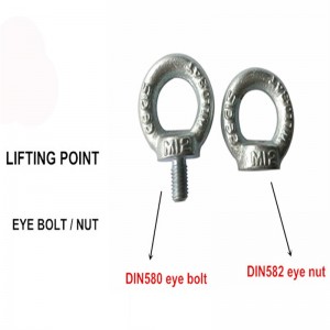 Perno de ojo de elevación DIN580 (DIN580)